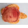 Peluche tortue caouanne