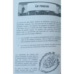 La Guadeloupe et la Martinique en 100 questions