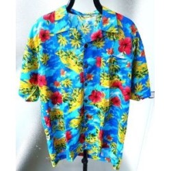 Chemise Hawaïenne bleue
