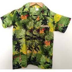 Ensemble Garçon Hawaï