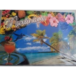 Set de table Martinique Rose Porcelaine