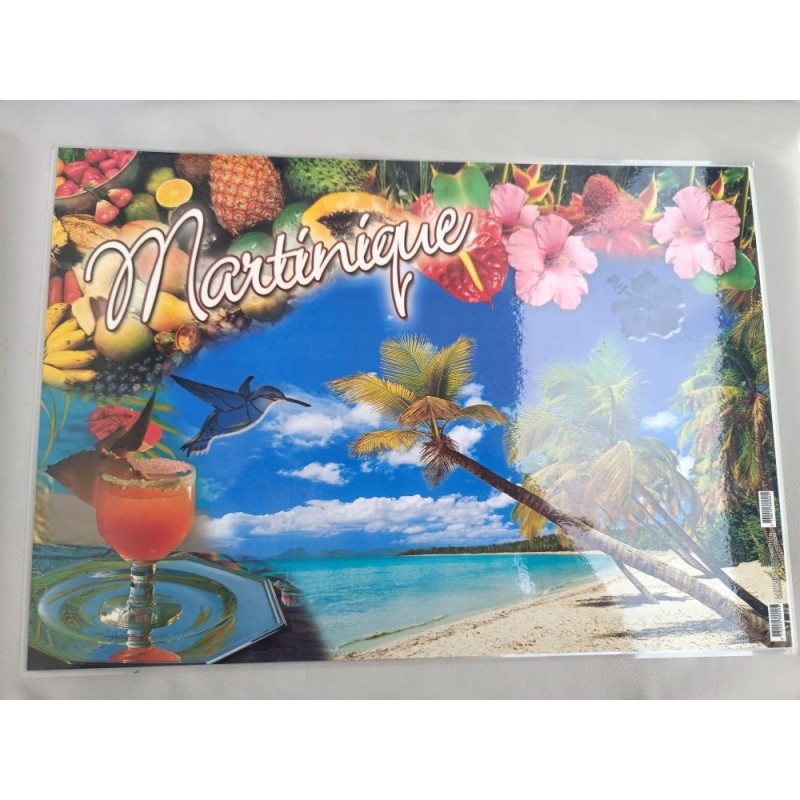 Set de table Martinique : Fleur et colibri