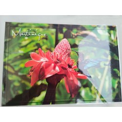 Set de table Martinique : Fleur et colibri