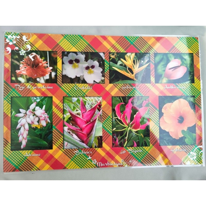 Set de table Martinique Fleurs Tropicales