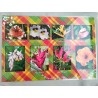 Set de table Martinique Fleurs Tropicales