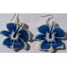 Boucles Hibiscus Guadeloupe