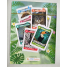 Jeu 7 Familles- Animaux des Antilles