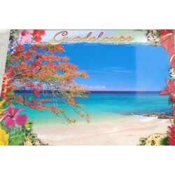 Set de table paysages Guadeloupe