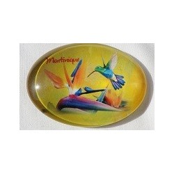 Magnet Martinique