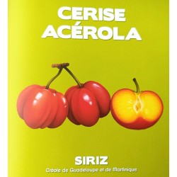 Noémie présente les fruits des Antilles