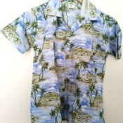 Ensemble Garçon Hawaï