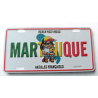 Magnet Martinique