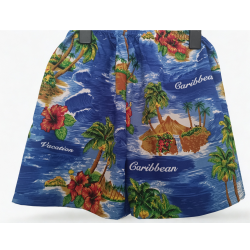 Ensemble Hawaïen bleu