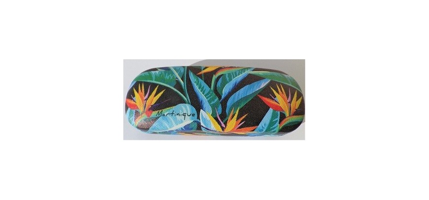 Etui à lunettes